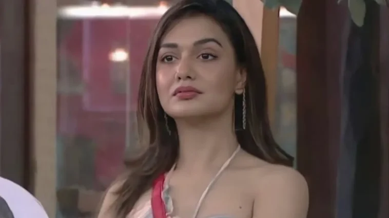 Divya Agarwal Harassed by Prince Narula Fans